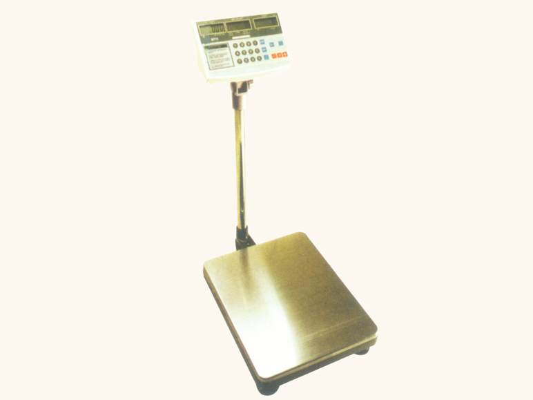 ATC、MTC系列電子計(jì)數(shù)秤